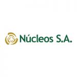 nucleos logo